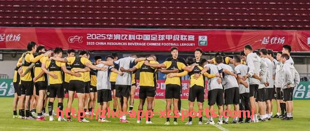 杏彩体育-2023年11月英超月最佳球员及表现点评